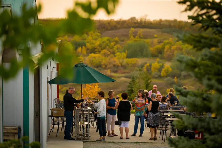 Wine Tasting at Over the Hill Orchards