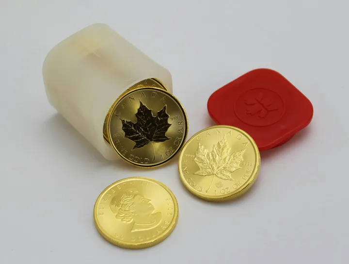 1oz Gold Bullion Coins