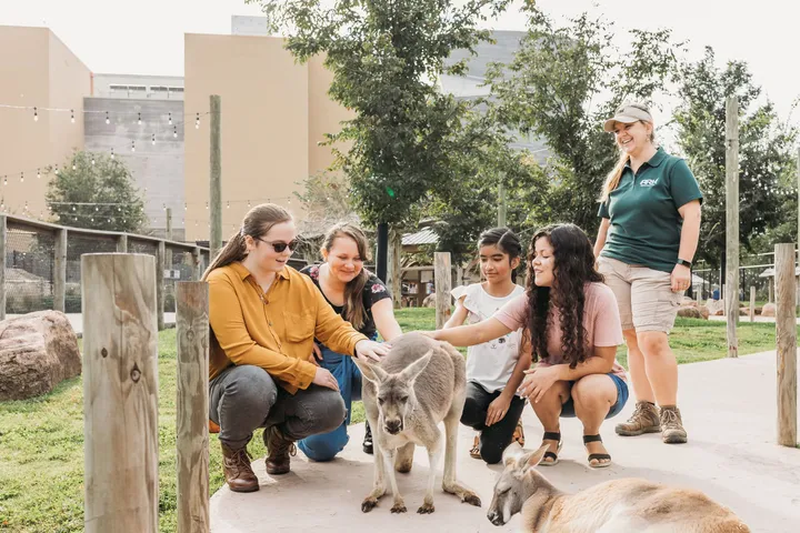 ark petting zoo